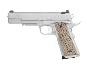 Dan Wesson CZ DW Specialist 10mm Stainless Rail 5" 8+1 Pistol