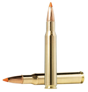 Rifle Ammunition