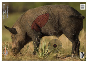 Birchwood Casey 35408 Pregame Boar Paper Target 16.50" x 24" 3 Per Pkg