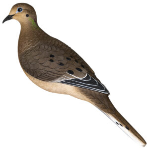 Avian X AVX-DOVE-6PK Full Body Dove Multi-Color 6 Pack