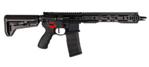 Franklin Armory Reformation Binary RS11 556 11.5" 30+1 Rifle