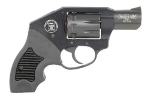 Charter Arms 12221 Walker 22 LR 8 Shot 2"