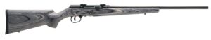 Savage A17 Sporter 17WSM Blued/LAM 22" 8+1 Rifle