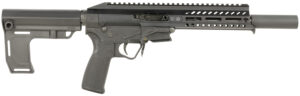 Patriot Ordnance Factory USA PSG .22 LR Pistol 8" Black Brace 10+1