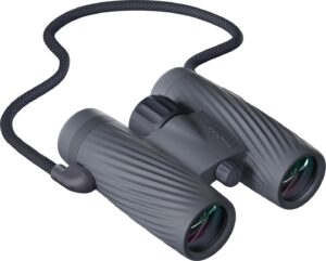 Bushnell A3 Bino 10X32 Gray