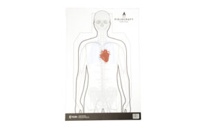 Action Target FC DBL Side TRNG 100PK