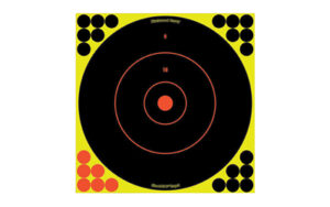 Birchwood Casey SHT-N-C RND Bullseye Target 5-12"