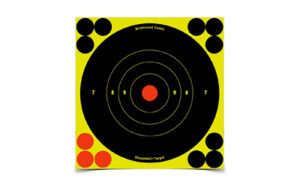 Birchwood Casey SHT-N-C RND Bullseye Target 60-6"