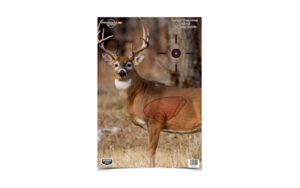 Birchwood Casey Pregame Deer Target 3-16.5X24