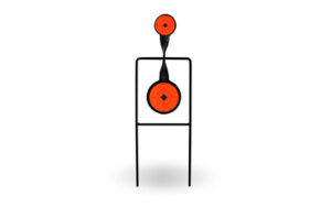 Birchwood Casey WRLD OF TGTS SRPSHTR Spin Target