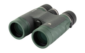 Burris Droptinehd 10X42mm Green/Gray