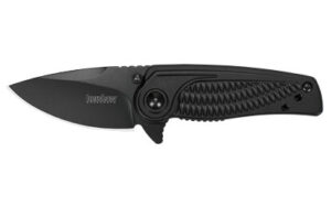 Kershaw Spoke 2" PLN Blackwash