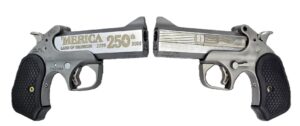 Bond Arms 250TH Redneck 45-70 Stainless 4.25" 1-Round Derringer