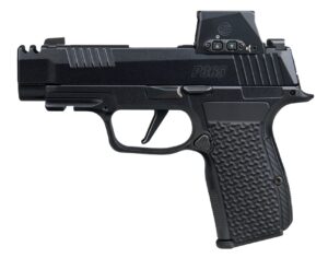 Sig Sauer P365 AXG Luxe 380 ACP 12+1 Romx 3.1" Pistol