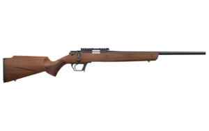 Retay USA Asend 22 LR 16" 10rd Black Walnut Rifle