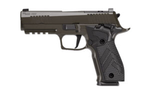 Sig Sauer P226 XLGN SAO 9mm 4.4" 18rd Gray Pistol
