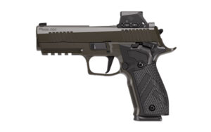 Sig Sauer P226 226 XLGN SAO 9mm 4.4 18rd SL Pro Pistol