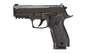 Sig Sauer P226 XLGN SAO 9mm 3.8" 18rd Gray Pistol