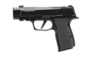 Sig Sauer P365 Luxe 380 ACP 3.1" 12rd Comp Pistol
