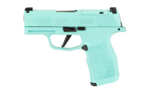 Sig Sauer P365X 9mm 3.1" 12rd Robins EGG Pistol
