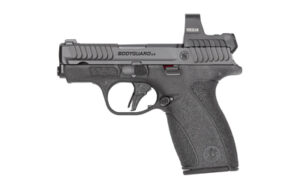 Smith & Wesson Bodyguard 2.0 2.0 RFX1 380 ACP 12rd NTS 2.75" Pistol