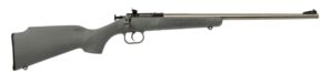 Davey Crickett Keystone Sporting Arms 22 LR Stainless/Gray 16.125" 1-Round Rifle