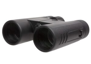 Sig Sauer Buckmasters Bino 10X42 Black
