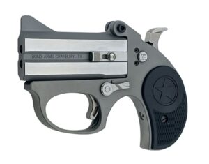 Bond Arms Stinger 22 LR Stainless 3" FS 2-Round Derringer