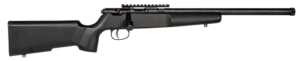 Savage Rascal Target 22 LR Compact Black 16.125" 1-Round Rifle