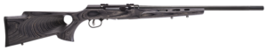 Savage A22 22 LR Blued/LAM 22" T'Hole Stock 10+1 Rifle