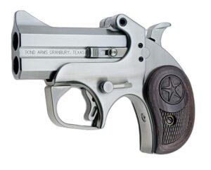 Bond Arms Texas Defender 45LC/410 3" Stainless 2-Round Derringer